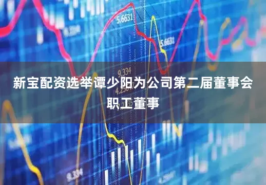 新宝配资选举谭少阳为公司第二届董事会职工董事
