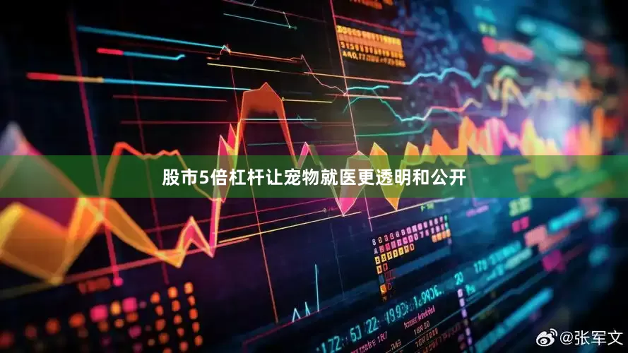 股市5倍杠杆让宠物就医更透明和公开