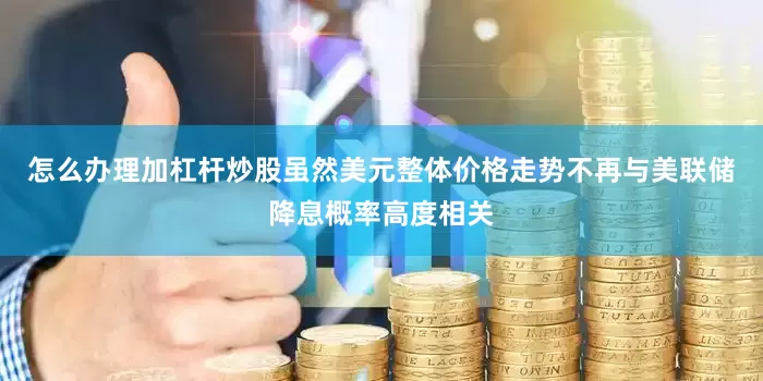 怎么办理加杠杆炒股虽然美元整体价格走势不再与美联储降息概率高度相关