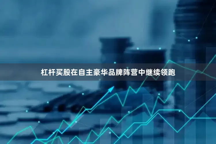 杠杆买股在自主豪华品牌阵营中继续领跑