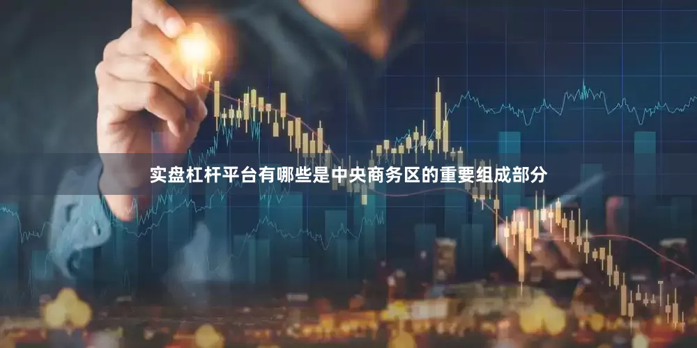 实盘杠杆平台有哪些是中央商务区的重要组成部分