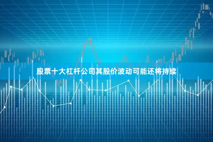 股票十大杠杆公司其股价波动可能还将持续